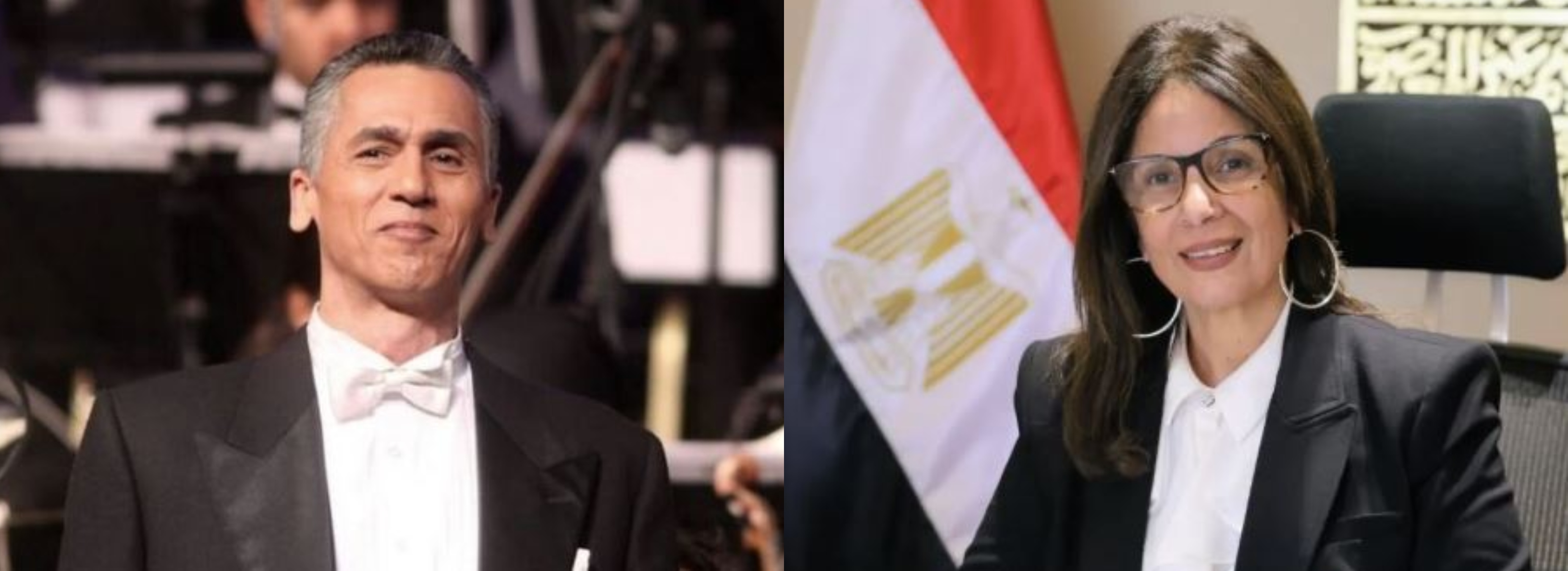 رضا الوكيل ووزيرة الثقافة